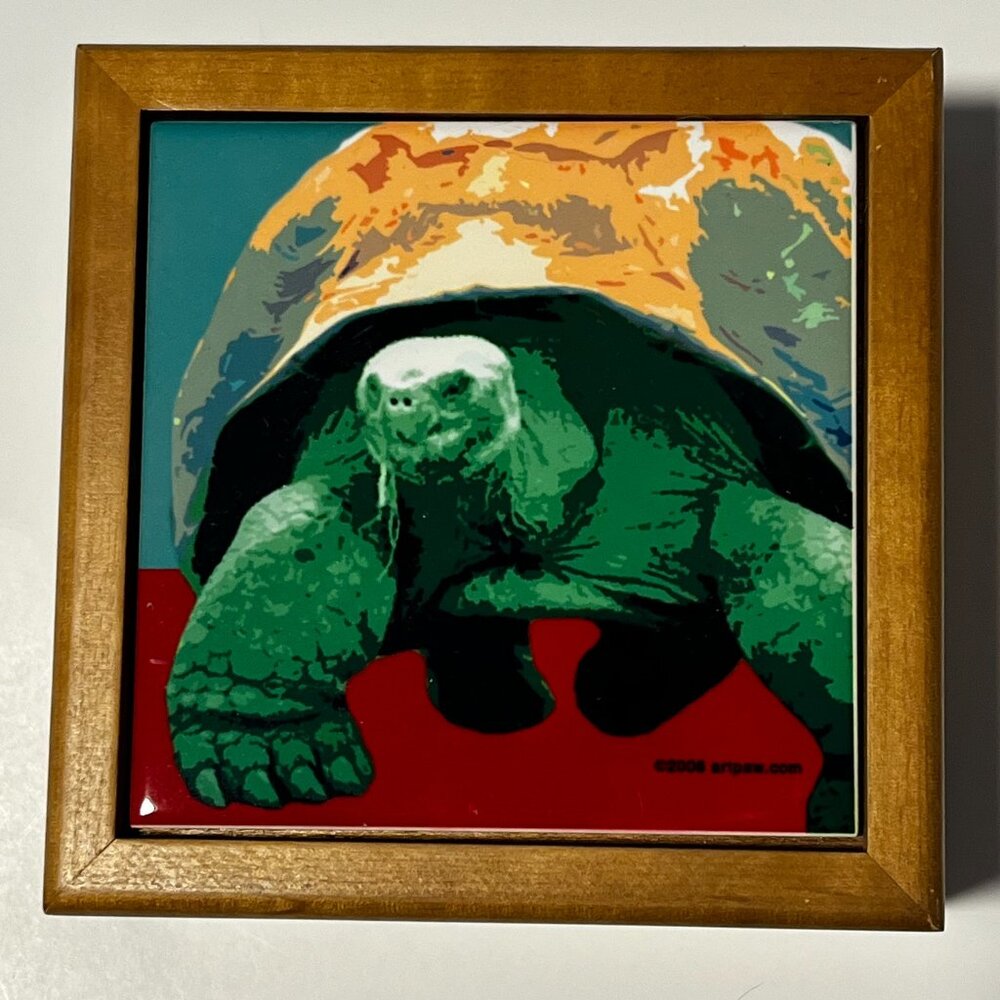 Turtle Keepsake Box